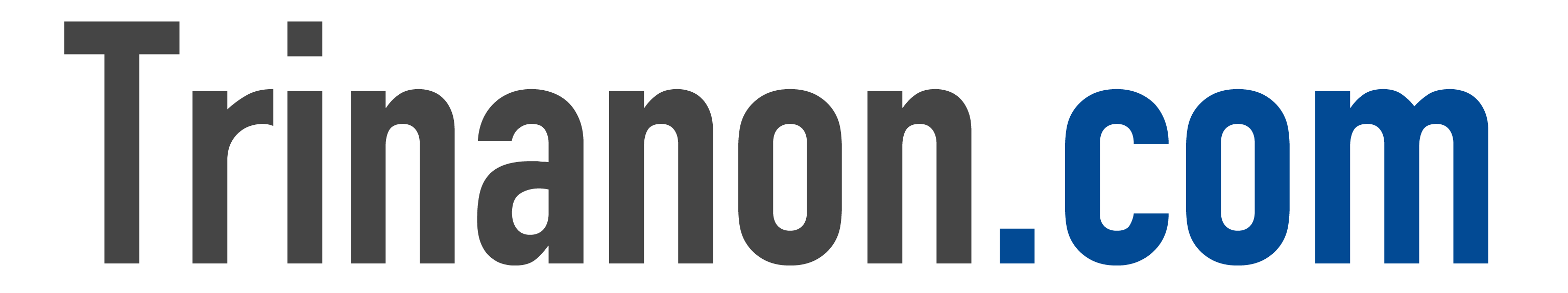Trinanon LLC – Software & App Development + UX/UI Design for StartUp's & SME's